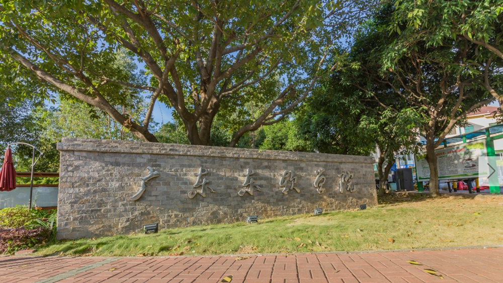 廣東東軟學院